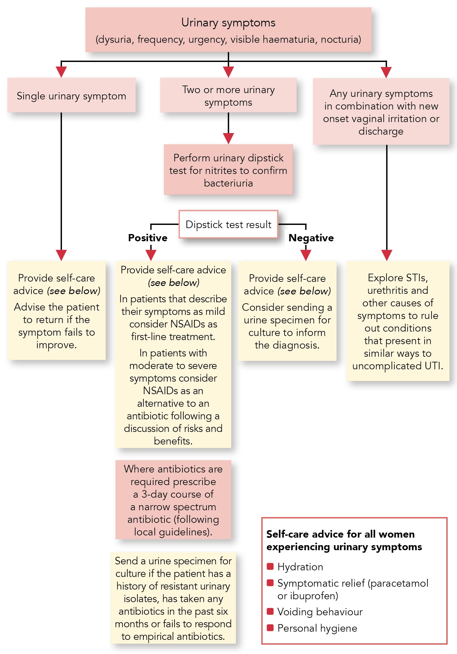 Urinary Tract Infection, Bacterial Lower in Women Management